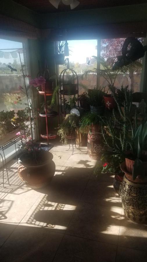 The Perfect Place . . . Here It Is! Homestay Las Cruces